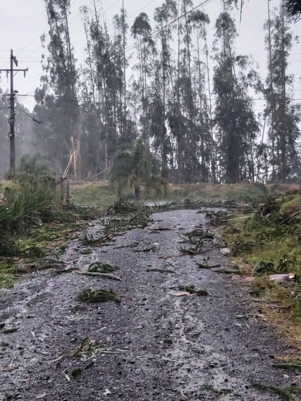 Cidade de SC decreta estado de emergência após passagem de tornado