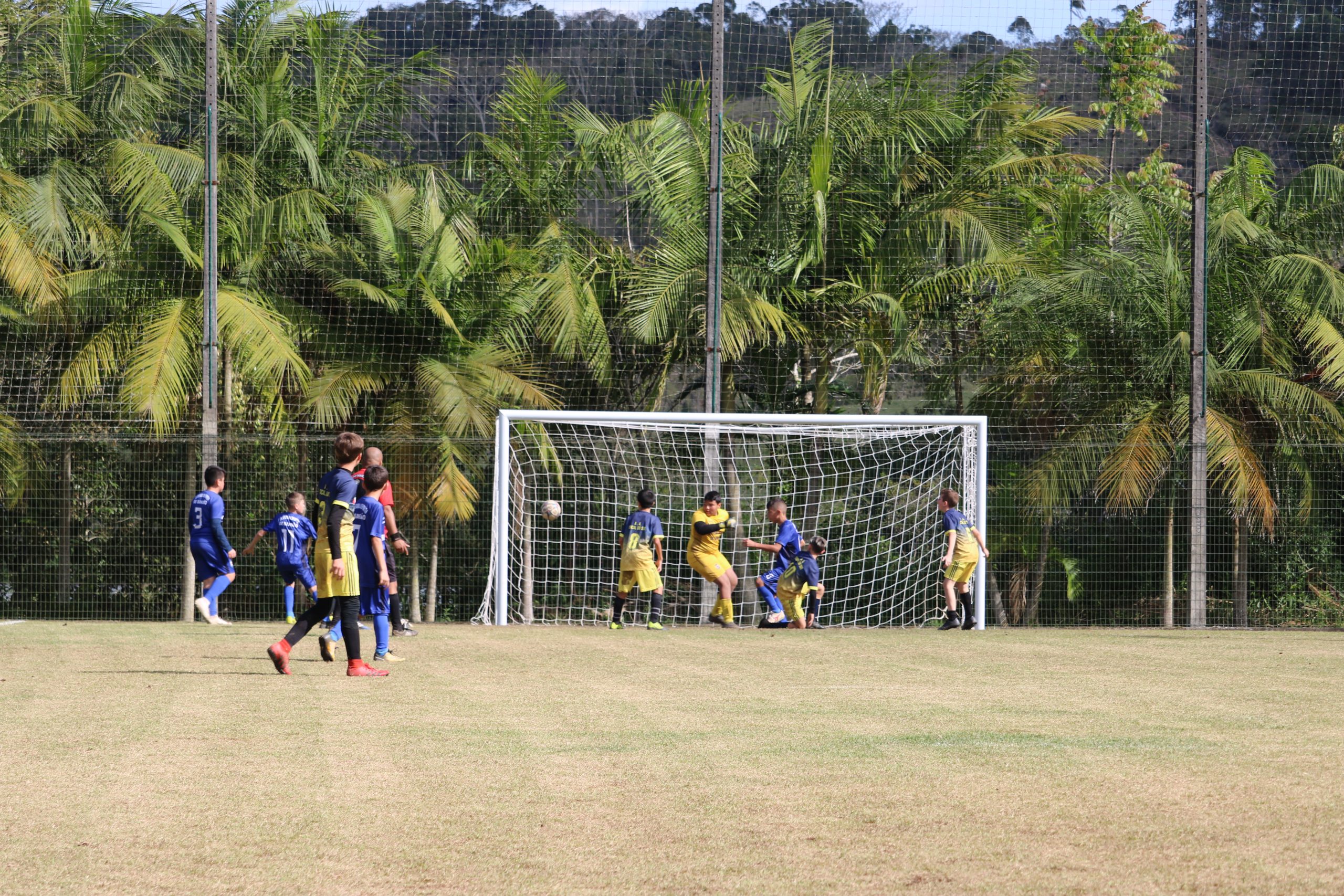 Sucesso no primeiro Festival Coopercocal de Escolinha de Futebol Suíço -  Cocal 360