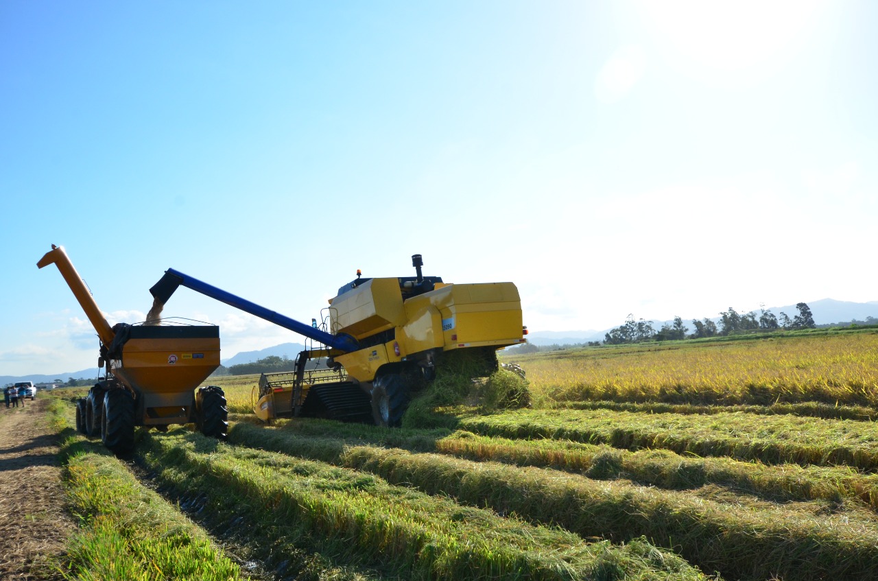 5ª Abertura Oficial Da Colheita Do Arroz Em Santa Catarina é Oficialmente Lançada Em Tubarão 4686